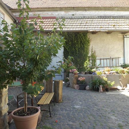 Gaestezimmer Mittelgasse Florsheim-Dalsheim Esterno foto