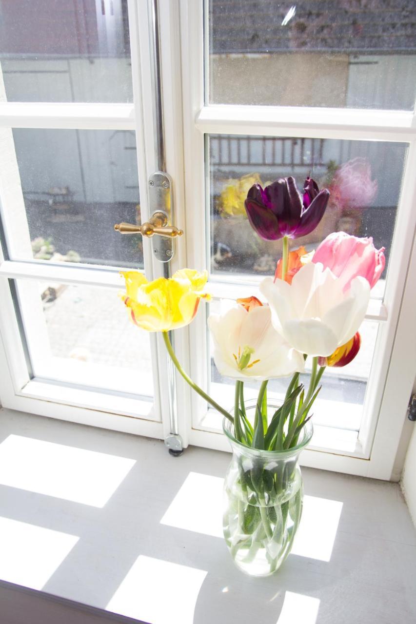 Gaestezimmer Mittelgasse Florsheim-Dalsheim Esterno foto